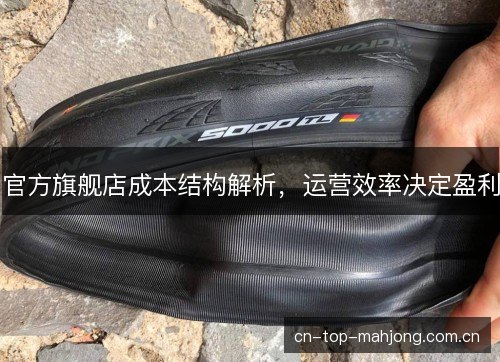官方旗舰店成本结构解析，运营效率决定盈利